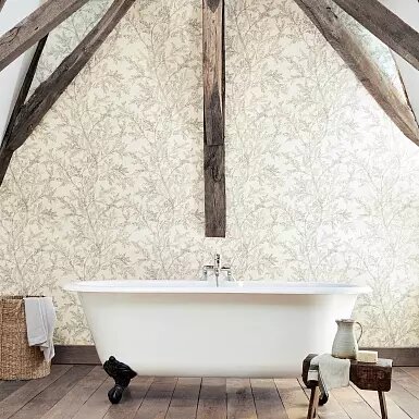 Medium_c185b0b0014096f45d94d51b156413ba