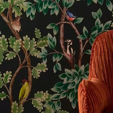 Medium_7ur4lrc612rfnd04vepy1x5rygwoe449