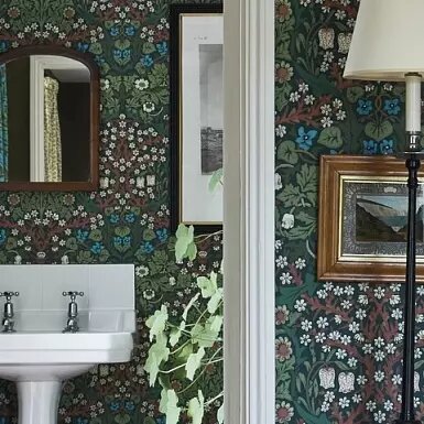 Medium_zfc3amricd6s3q774qqp53vyj5sqg0kw