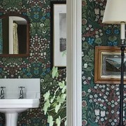 Thumb_zfc3amricd6s3q774qqp53vyj5sqg0kw