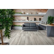 Thumb_grand_sekvoyya_gorbea_1