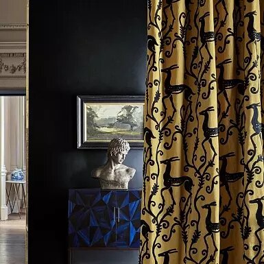 Medium_25688264ed3d54a5f55ad132e4b4f258