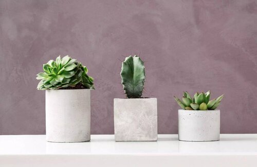 Отредактируйте или удалите это описание (для SEO)