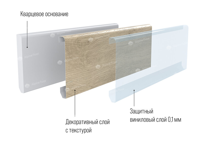 Big_grand_sequoia_11_7_gevuina_1