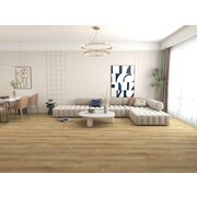 Thumb_dub_frants_aba_1