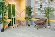 Thumb_grand_sekvoyya_sagano_1