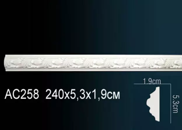 Big_molding_ac258_1
