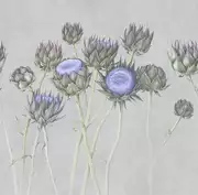 Thumb_artichoke_01