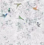 Thumb_colibri_01