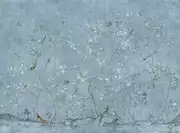 Thumb_floraison_01