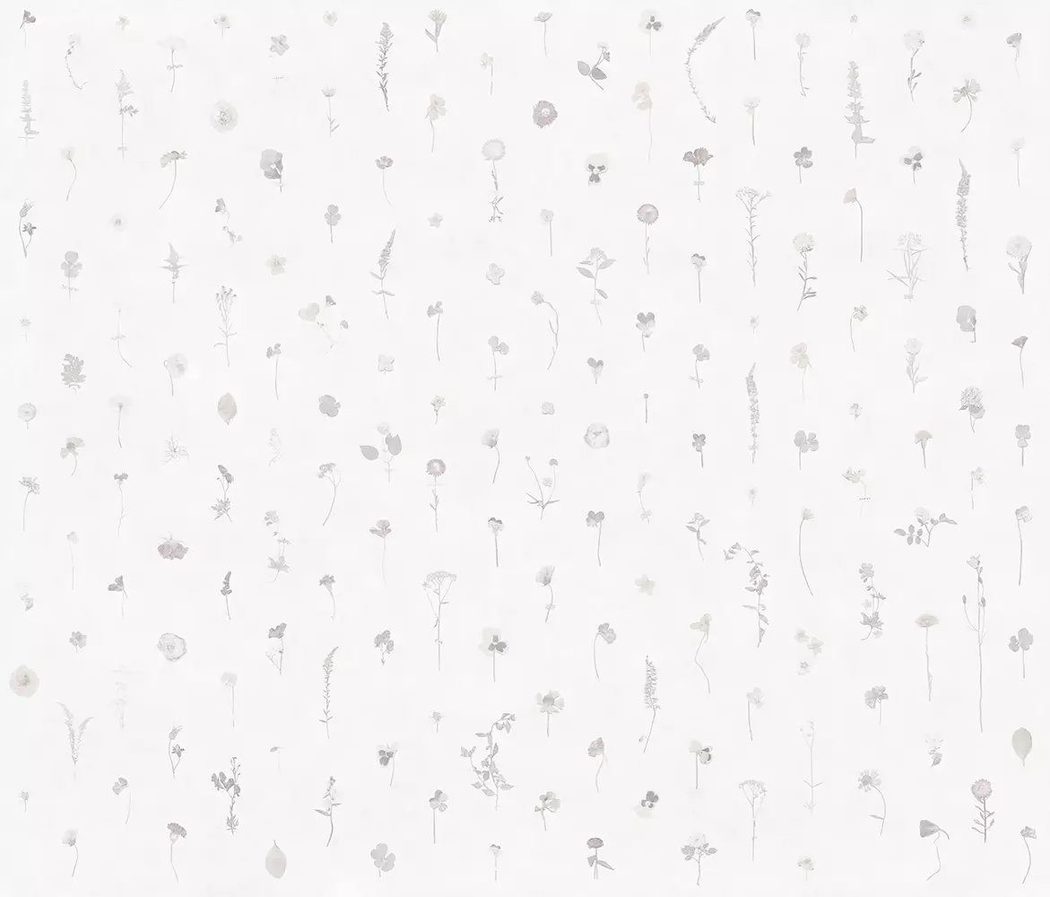 Big_fragility_01