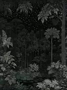 Thumb_giungla_notturna_01