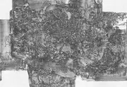 Thumb_hieronymus_01