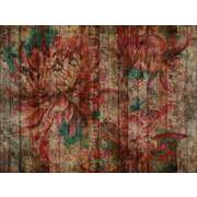 Thumb_imaginarium_01