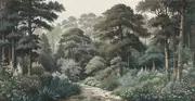 Thumb_karelian_forest_01
