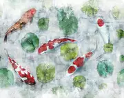 Thumb_koi_01