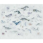 Thumb_marine_life_01