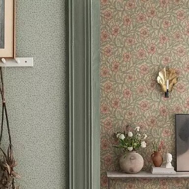 Medium_07et1mm7c3q0y3qffhjdw1238uae3wtt