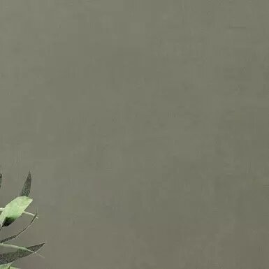 Medium_78ixyg17lzgykt7ygz2cdbdepaut3a77