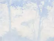 Thumb_siesta_01