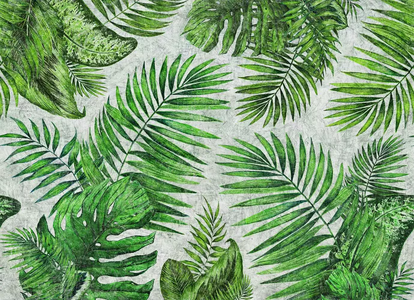 Big_tropical_01