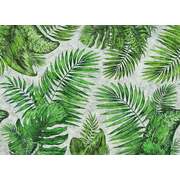 Thumb_tropical_01