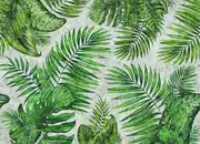 Thumb_tropical_01