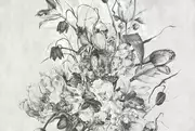 Thumb_tulip_01