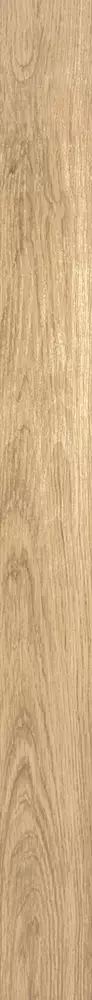 Big_valeurebear_01