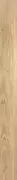 Thumb_valeurebear_01
