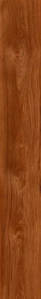Big_vertu_sarmatskiy_01