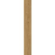 Thumb_vertu_frankskiy_01