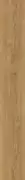 Thumb_vertu_frankskiy_01