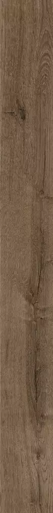 Big_opus_flober_01