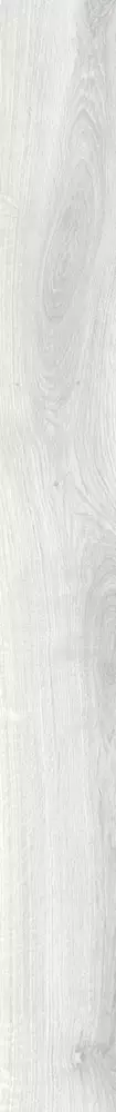 Big_lori_01