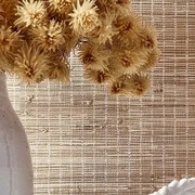 Thumb_j9q4m51g71qntd595eflh4973ob1g6oz