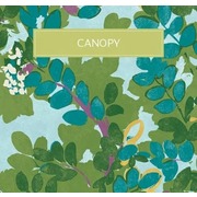 Thumb_pre_thibaut_canopy
