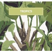 Thumb_pre_thibaut_tropics