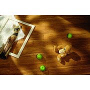 Thumb_bambuk_hitech_coffee_28_10_19_krasnyy_915h127h14_up_1_39446_1