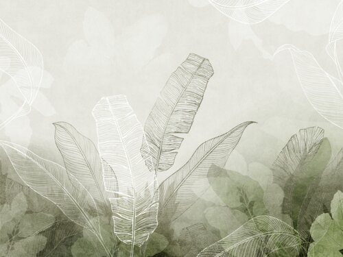 Medium_24679