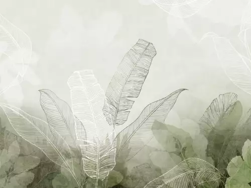 Medium_24679