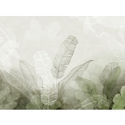 Thumb_24679