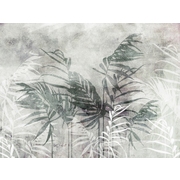 Thumb_24684_