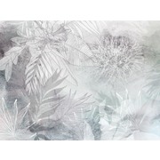 Thumb_24692