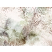Thumb_24702