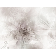 Thumb_24705