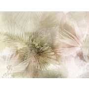 Thumb_24706