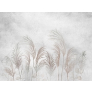 Thumb_24709