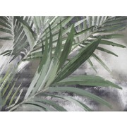 Thumb_22448