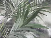 Thumb_22448
